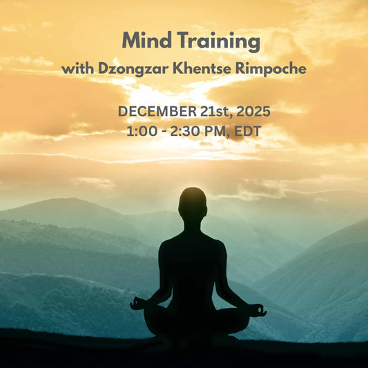 Past: Mind Training with Dzongzar Khentse Rimpoche